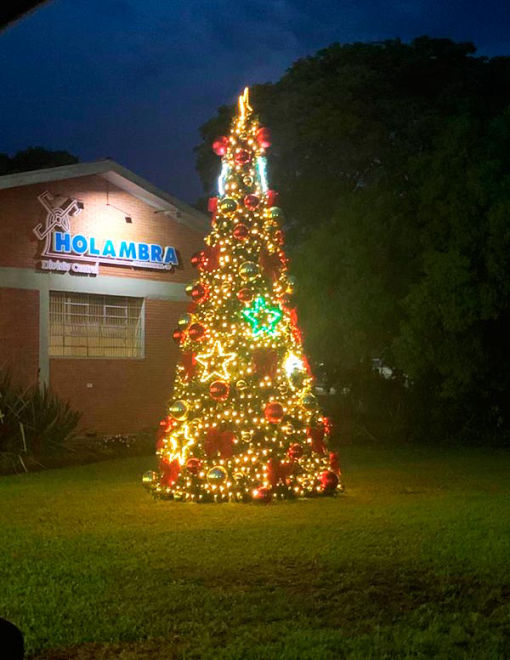 Forma & Luz Decoração de Natal para Ambientes Comerciais